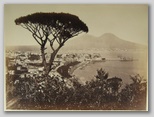 Giorgio Sommer, signed: No. 1101 Panorama dal Vomero (Napoli)