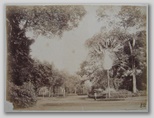 Vietnam(French Indochina) - Saigon - Jardin d’acclimatation